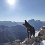 Bergtour mit Hund auf den Sas Rigais
