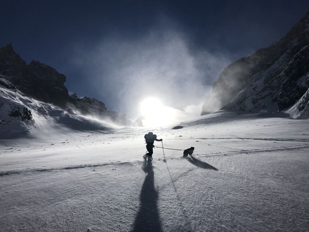 Mit Hund auf Skitour