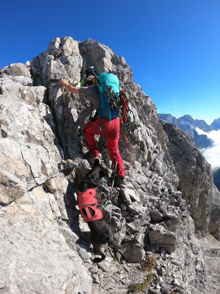 Schlüsselstelle am Gipfelgrat zur Ehrwalder Sonnenspitze