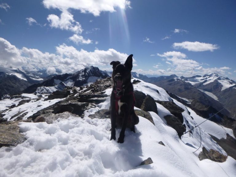 Leichte Alpinkletterei auf die Talleitspitze im Ötztal