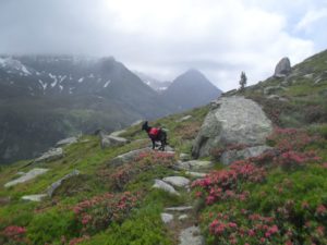 Alpenüberquerung Salzburg – Triest