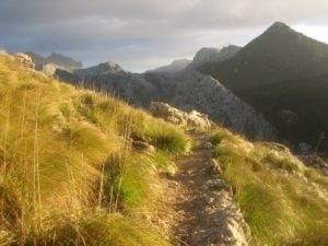 Trekking: Weihnachten auf dem GR 221 in Mallorca