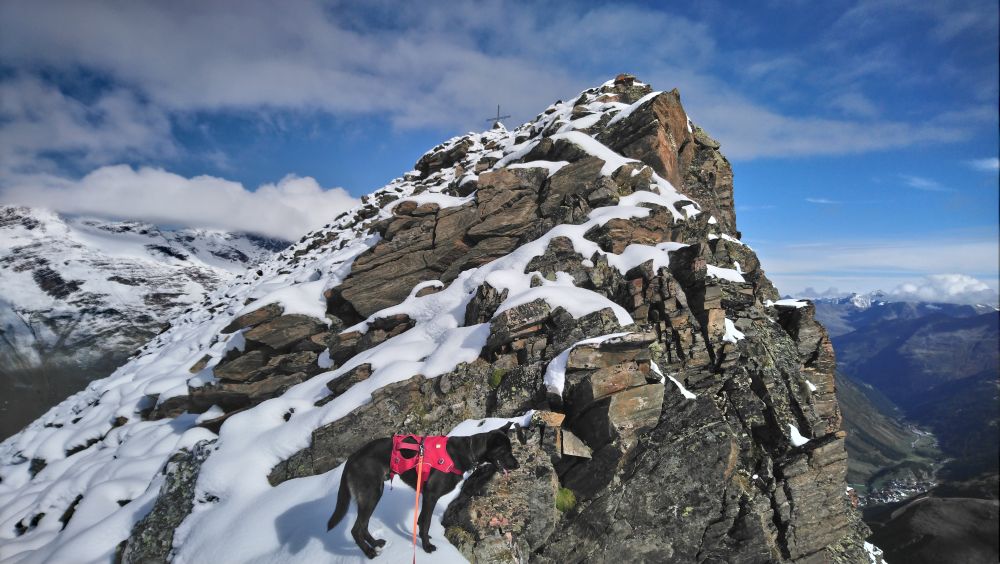 Bergtour mit Hund: Überschreitung Hangerer 3021 m