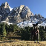 Nach Klettersteigtour mit Hund auf dem Peitlerkofel