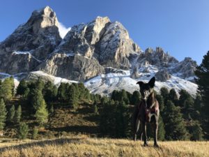 Klettersteig mit Hund