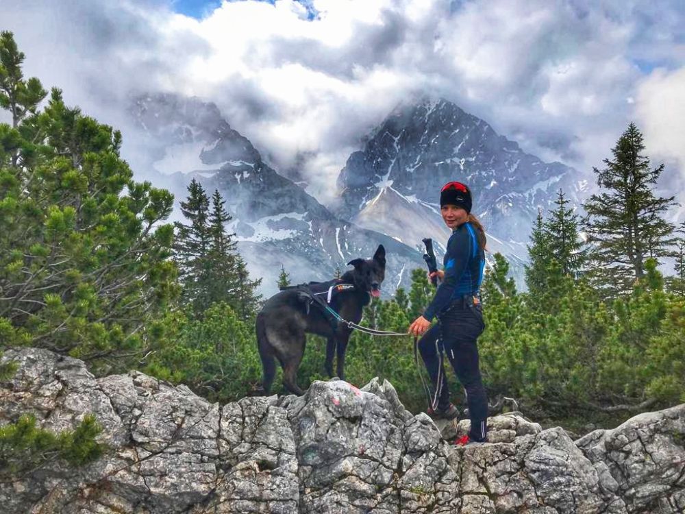 Packliste Alpentrekking GTA – Fernwandern mit Hund