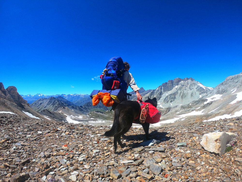 Trekking mit Hund: Alta Via Val di Susa