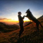 Sonnenaufgang auf der GTA mit Hund genießen