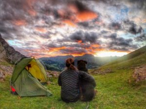 Trekking mit Hund: Via Alpina Schweiz – der Grüne Weg