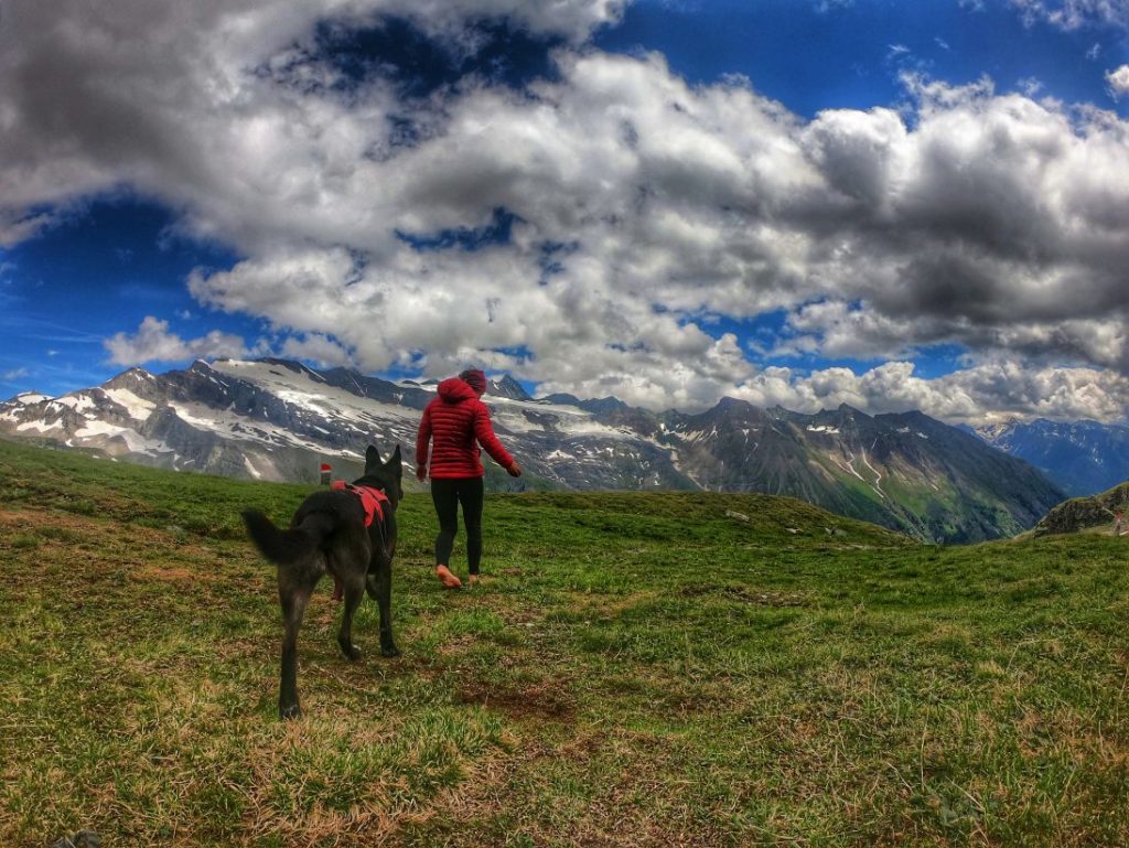 Silesia-Höhenweg - Trekking mit Hund