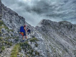 Bergtour mit Hund – Treffauer und Tuxegg im Wilden Kaiser