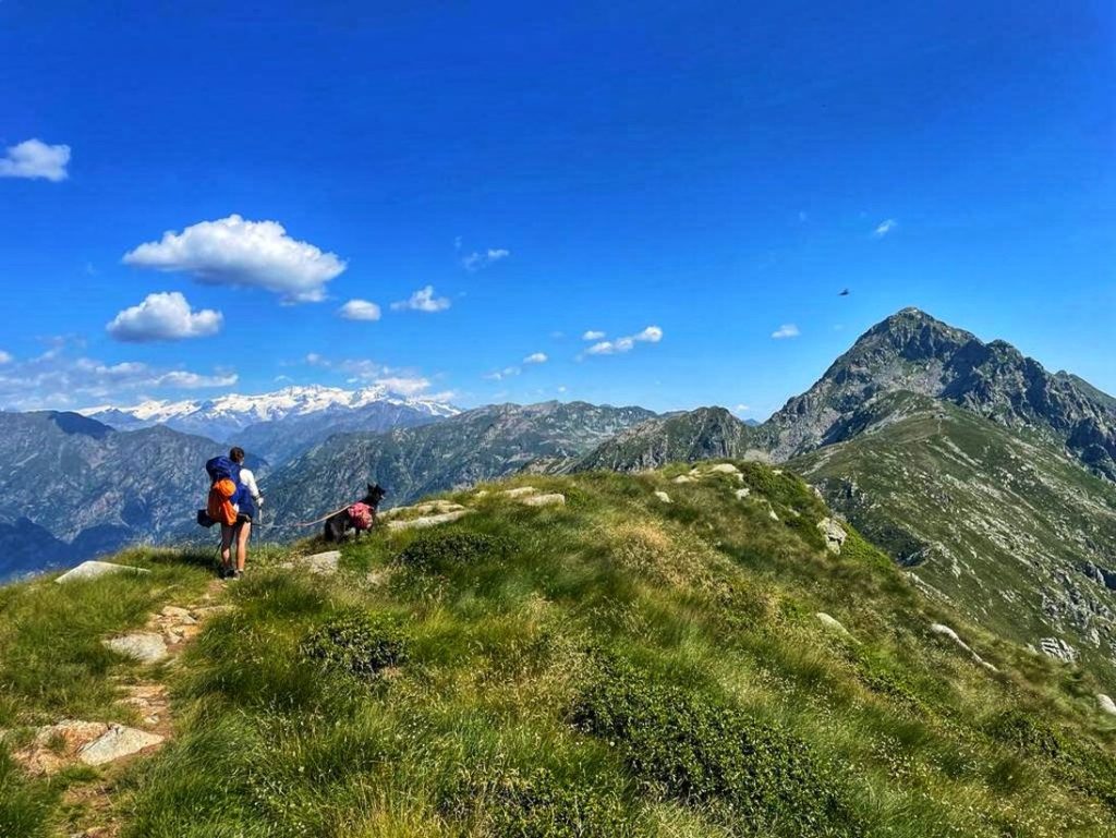 Höhenweg im Aostatal mit Hund... hoch oben, ein Traum