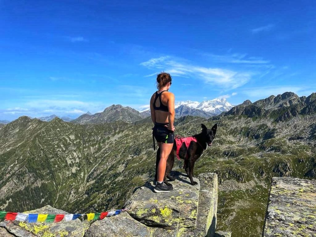 Gipfelsieg - wenn auch keine Abkürzung ;)