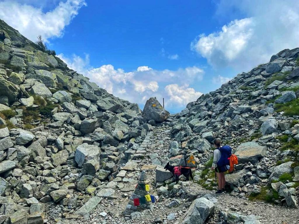 Von einem Pass zum nächsten- Trekking mit Hund auf dem Aostatal Höhenweg