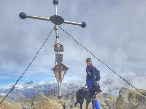 Bergtour mit Hund: Überschreitung Hochschober (3242 m) in Osttirol