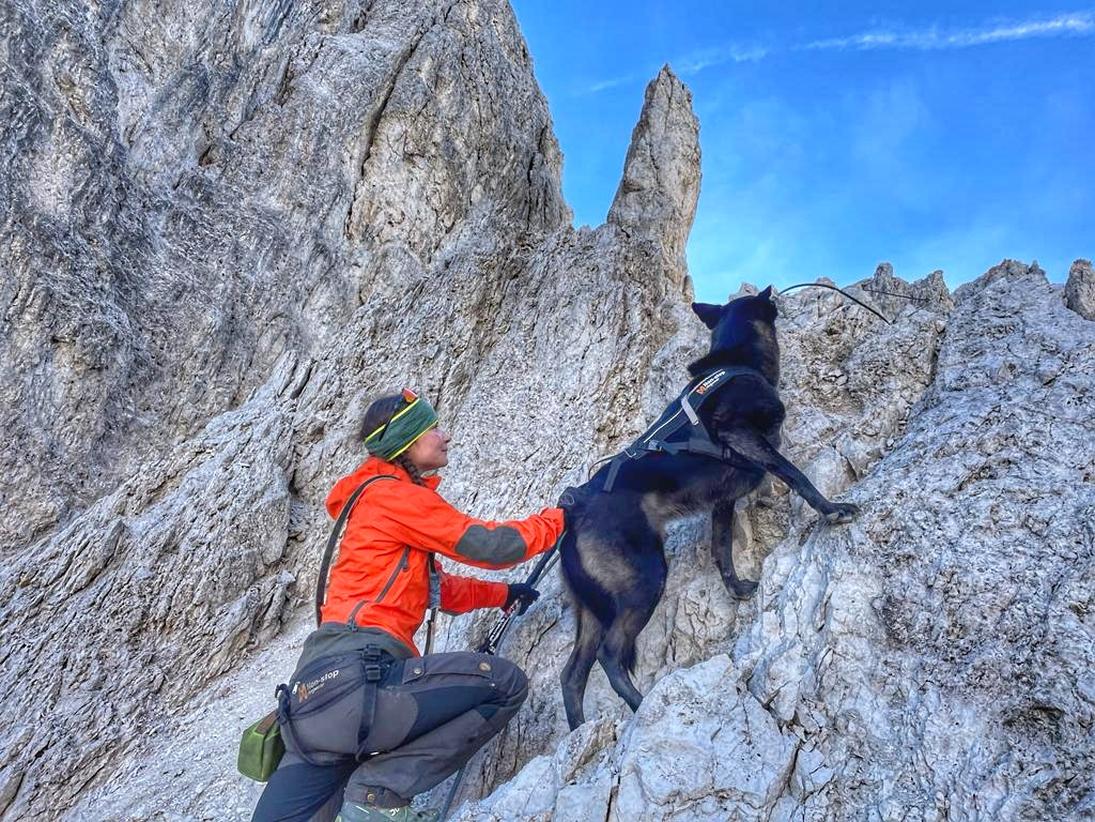 Dolomiten mit Hund – Klettersteige, Bergtouren und Wanderungen