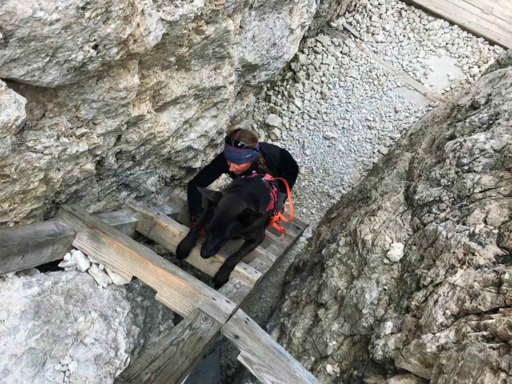 Alte Kriegsstellungen im Gipfelbereich