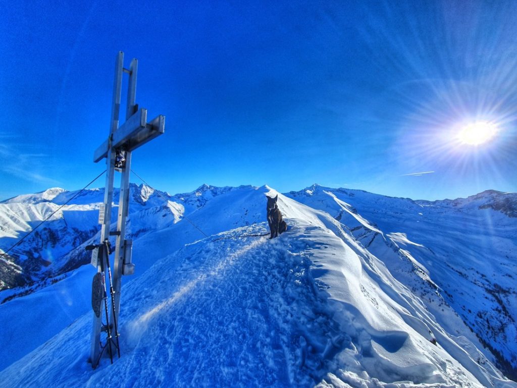 Die Ersten am Gipfel so früh am Morgen - Skitour mit Hund