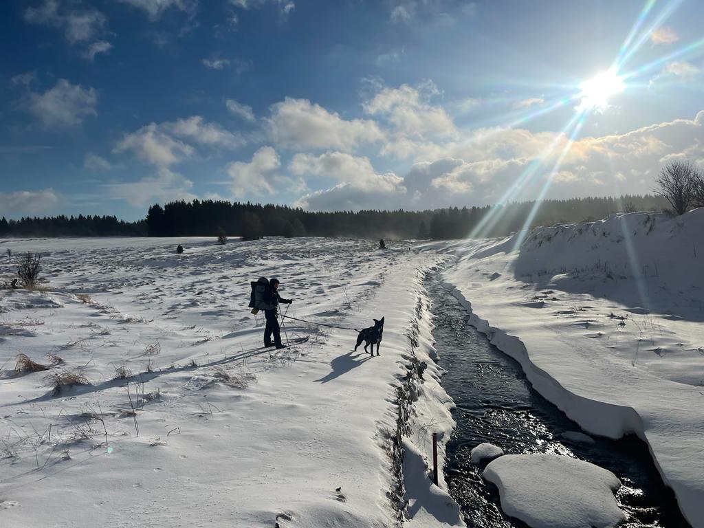 Skitrekking mit Hund im Backcountry Land "Erzgebirge"