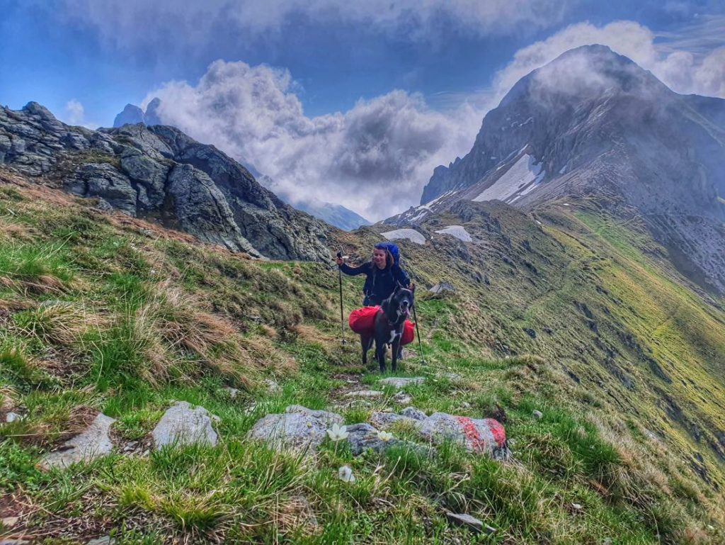 Karnischer Höhenweg im Mai mit Hund