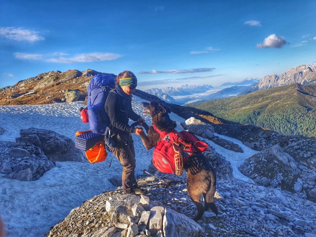 Karnischer Höhenweg mit Hund