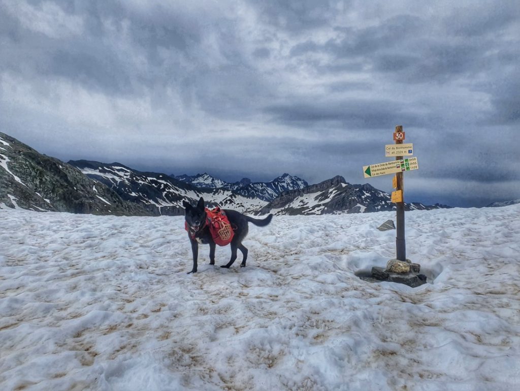 Ende Mai auf der Tour du Mont Blanc mit Hund