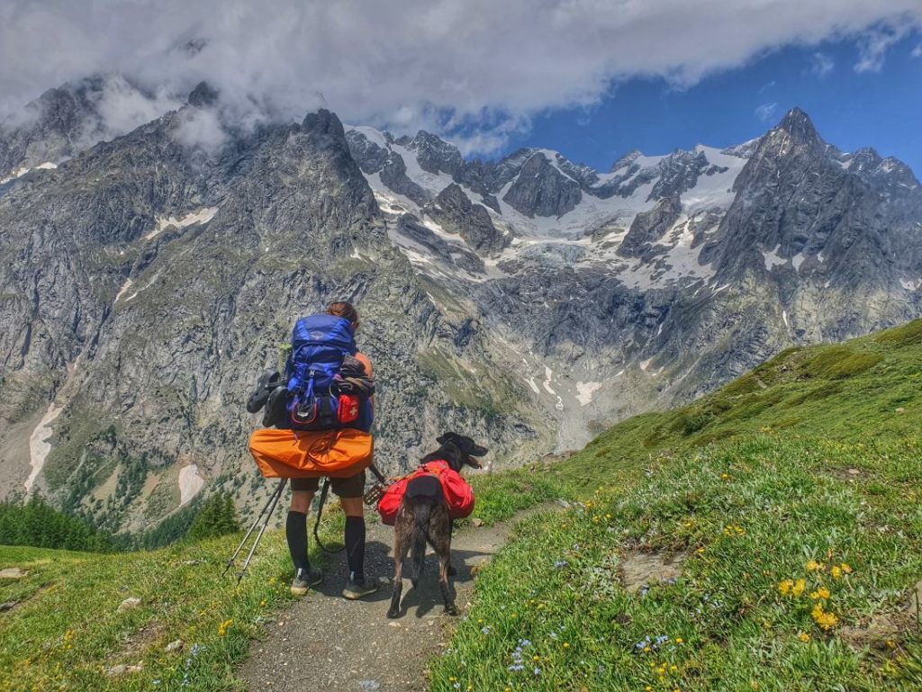 Fast wolkenfreie Sicht aufs Mont Blanc Massiv