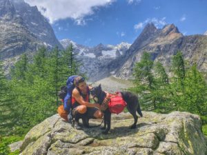 Trekking mit Hund: Tour du Mont Blanc