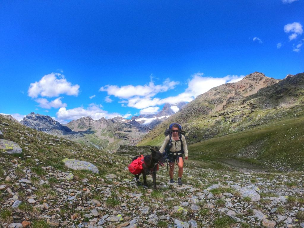 Piz Bernina Trek mit Hund