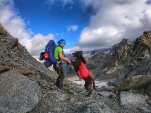 Trekking mit Hund: Piz Bernina Umrundung /Alta Via Valmalenco/Scersen Trail