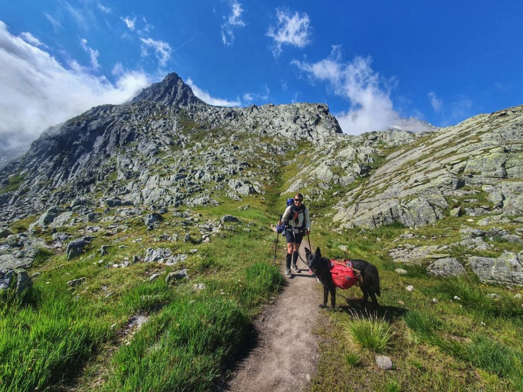 Stubaier Höhenweg mit Hund