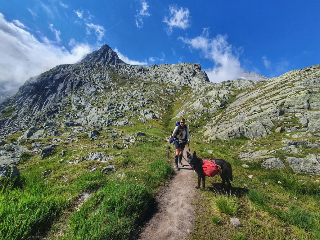 Stubaier Höhenweg mit Hund