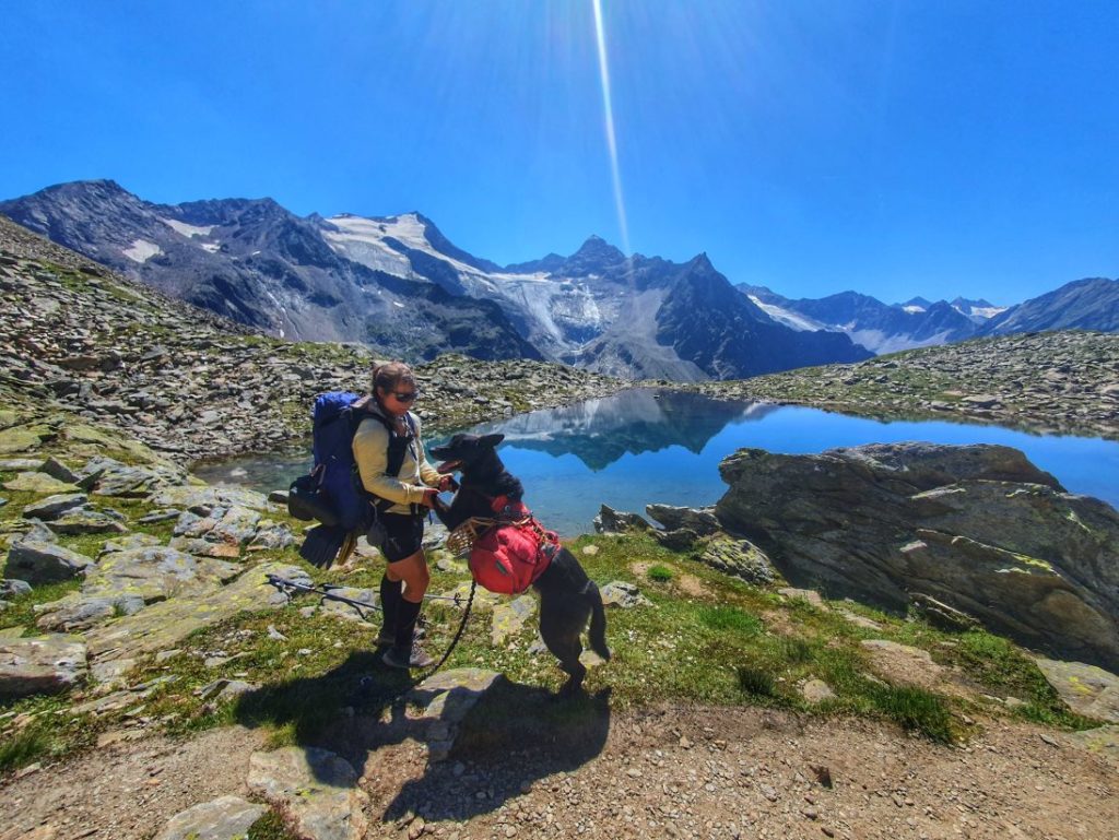 Trekking mit Hund auf dem Stubaier Höhenweg