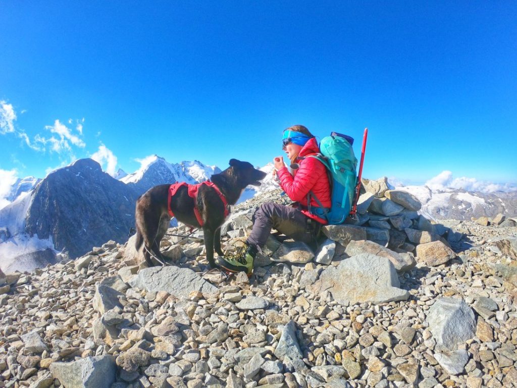 Hochtour mit Hund - Piz Tschierva - Gipfelrast