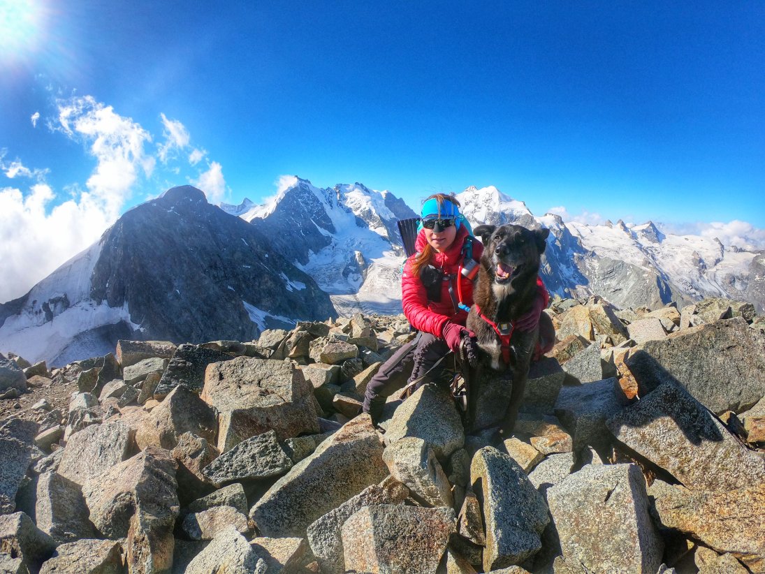 Hochtour mit Hund: Piz Tschierva – 3545 m (geplant Piz Morteratsch – 3751 m)