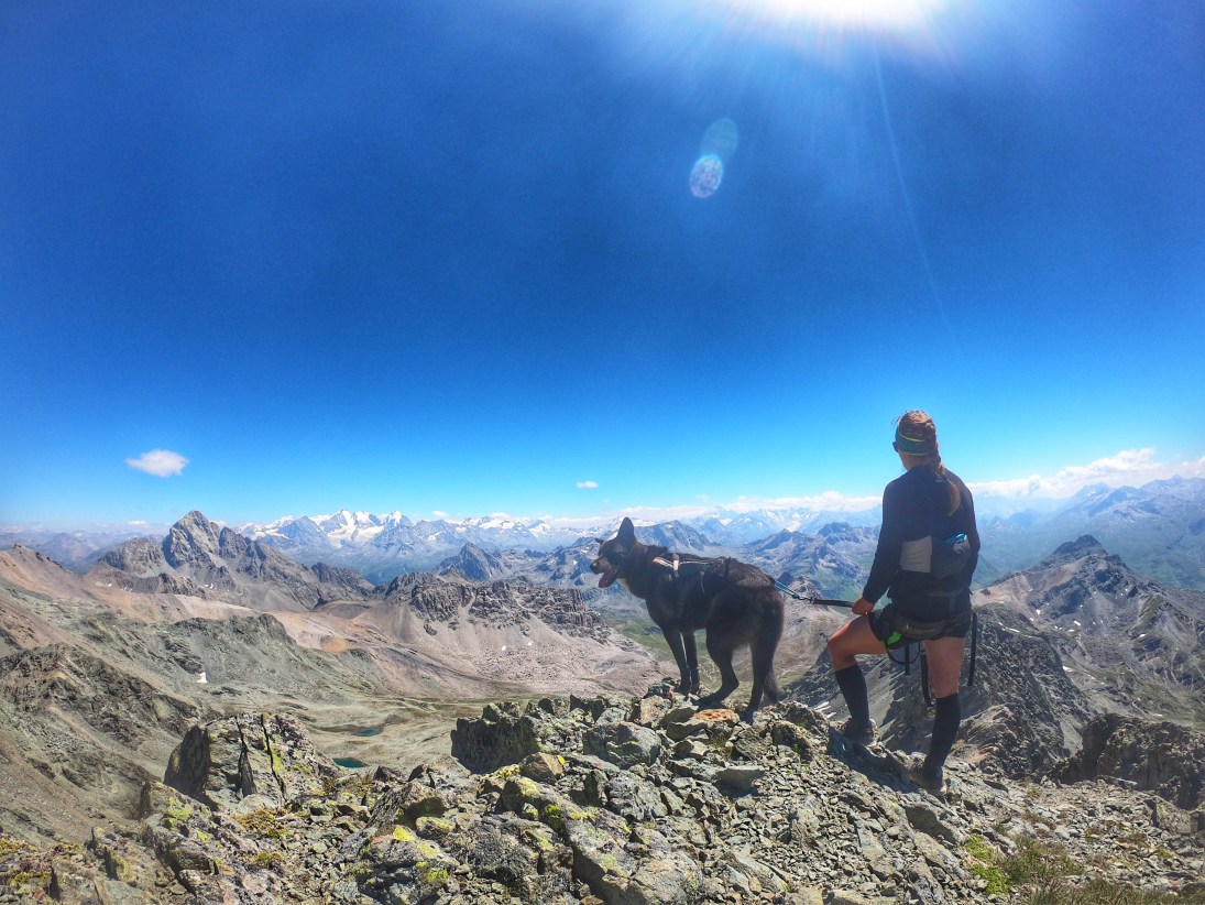 Bergtour mit Hund: Piz d’Agnel (3204 m) & Tschima da Flix (3315 m)