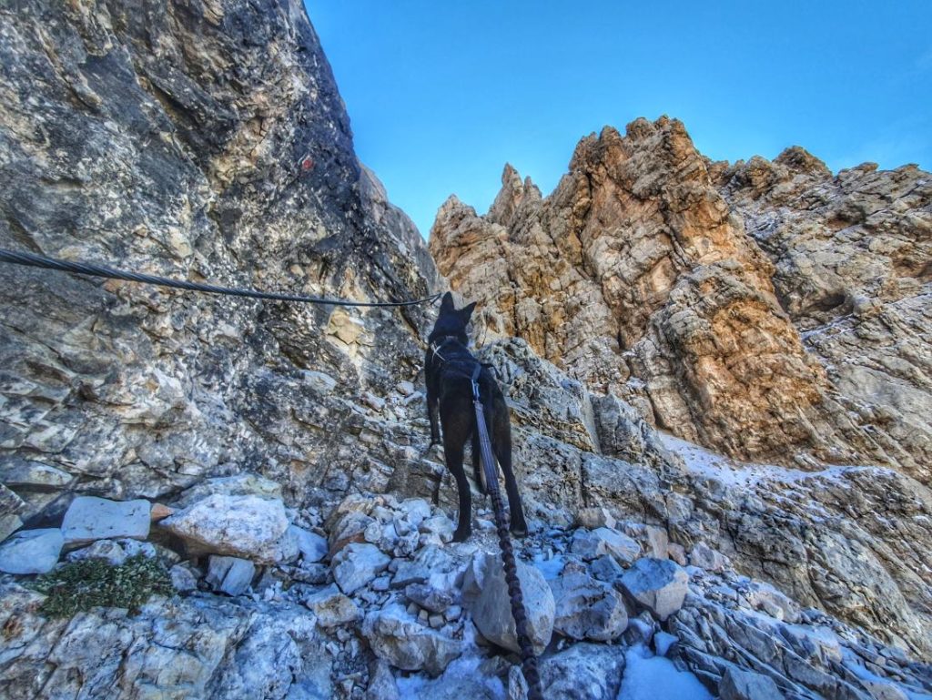 Klettersteig Piz Duleda mit Hund - kurz und knackig