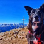 Heiligkreuzkofel mit Hund über Klettersteig