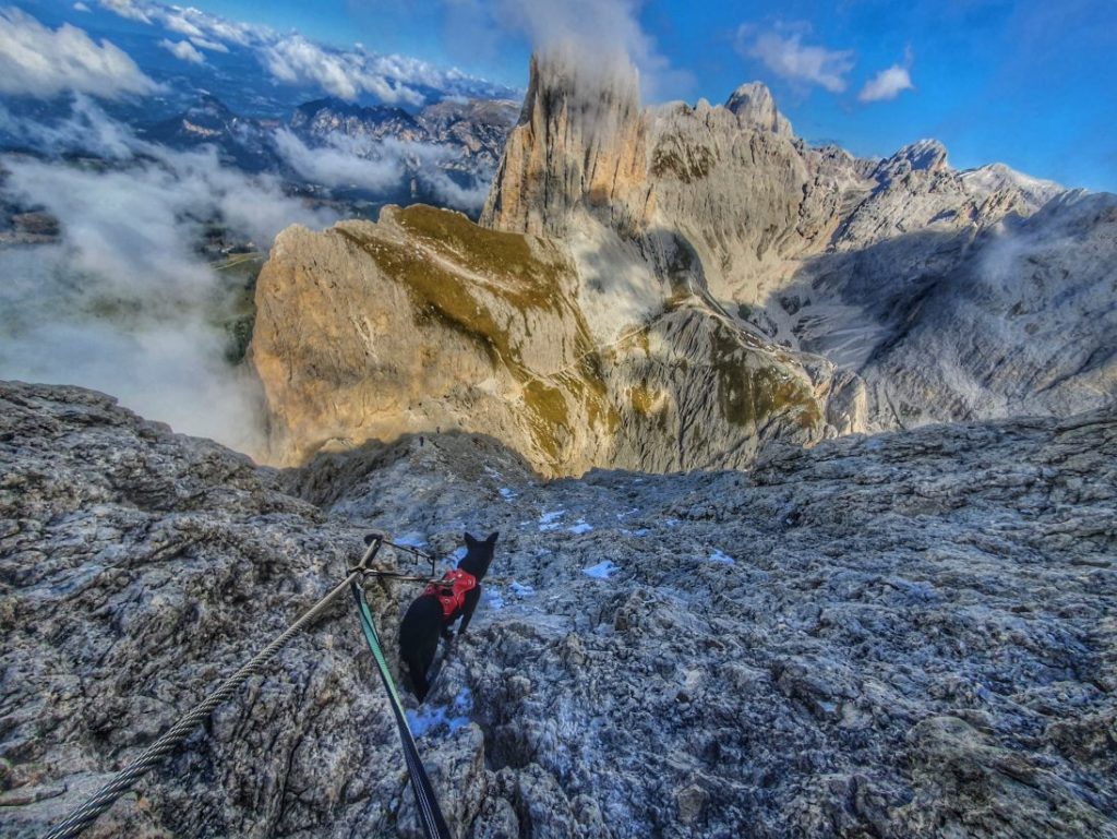 Im Abstieg: Klettersteig Rotwand mit Hund