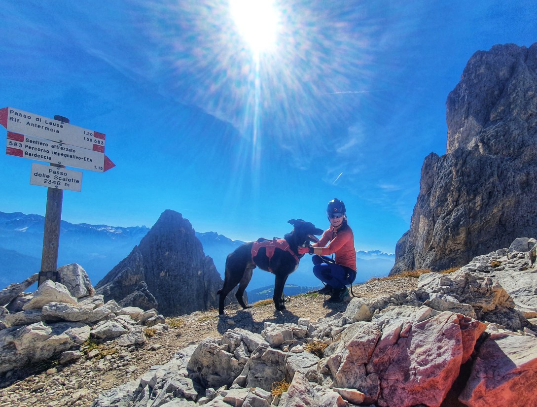 Klettersteig Scalette im Rosengarten mit Hund / Scalette Weg auf Cima di Lausa & Cima Scalieret