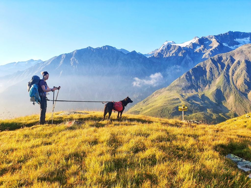 Laufgürtel und Bungeeleash sind auch beim Trekking mit Hunderucksack nutzbar