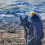 Zuggeschirr für den Hund in den Alpen