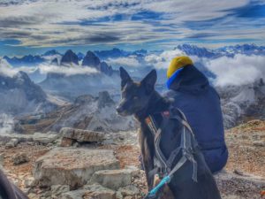 Zuggeschirr für Hunde im alpinen Gelände