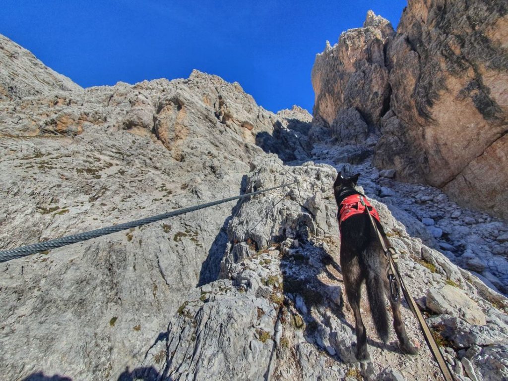 Klettersteig oder RInne...