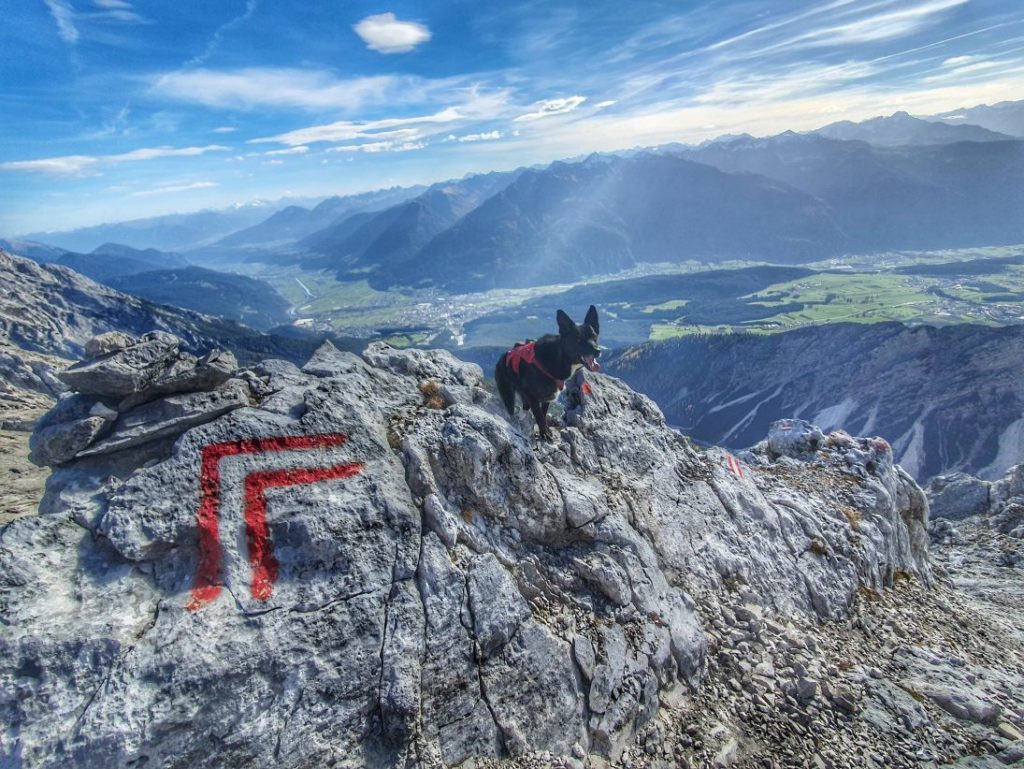 Im leichtem Gelände mit losem Geröll ist Freilaufen manchmal besser