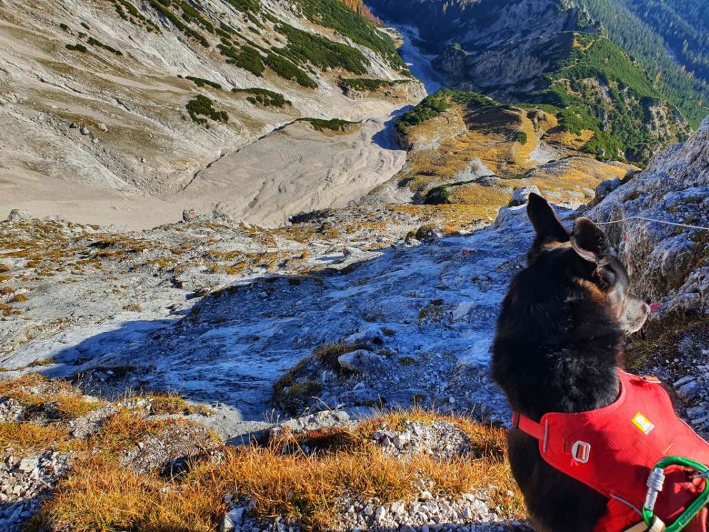 Die letzten Schwierigkeiten (Seilversicherte steiler Abschnitt) bis zum Wetterkreuz