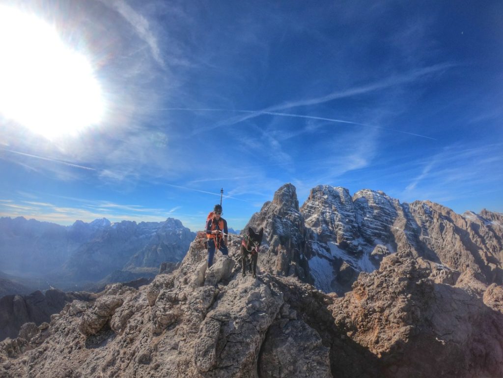 Wenige Meter auf dem ausgesetzten Grat zum Gipfel - Monte Cristallino mit Hund