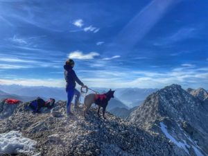 Bergtour mit Hund: Hochwand (2715 m) – Mieminger Kette