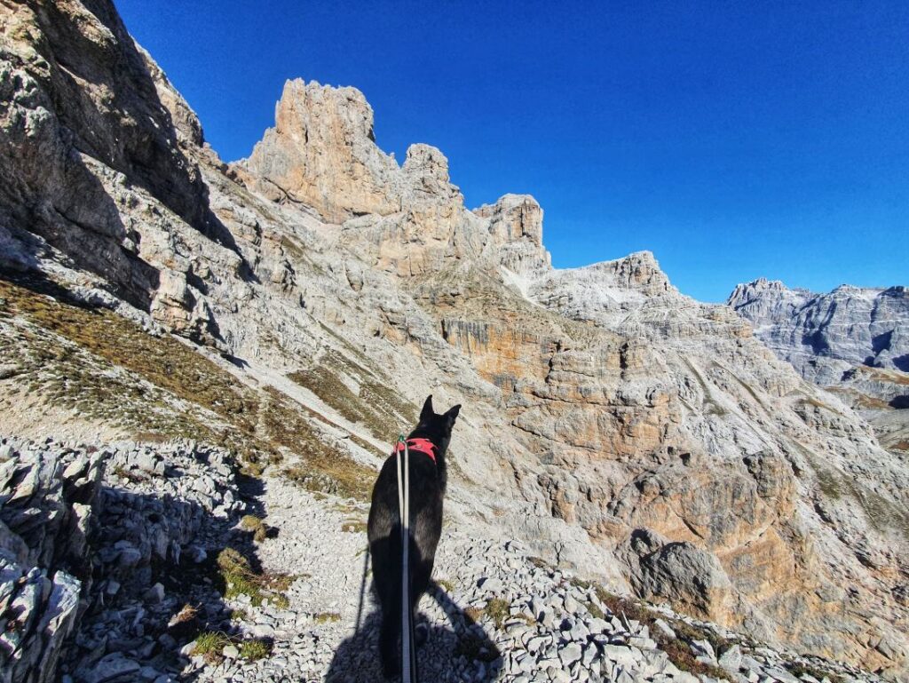 Blick zum Großen Rautkofel