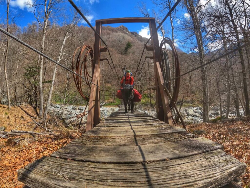 Trekking mit Hund im Val Grande